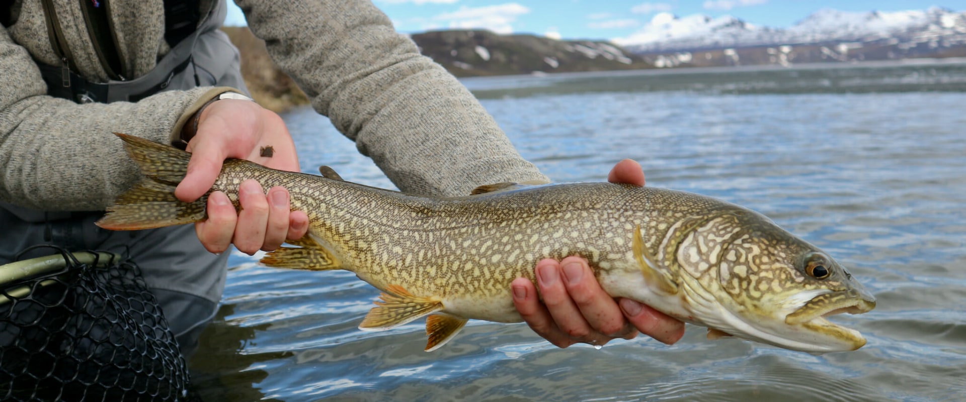 Understanding Daily Fishing Limits in Alaska: What You Need to Know
