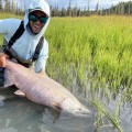 Understanding the Average Length of Fishing Trips in Alaska