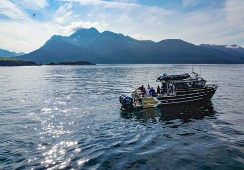 Understanding the Costs of Fishing Trips in Alaska