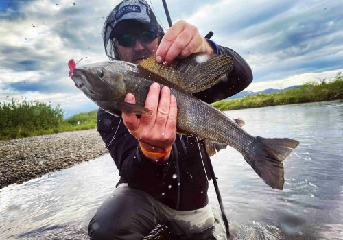 Understanding Alaska's Weather Patterns for Fishing Success