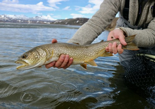 Understanding Daily Fishing Limits in Alaska: What You Need to Know