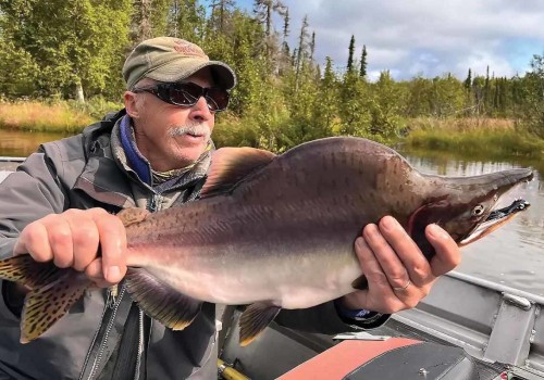 Exploring the Average Size of Fish Caught in Alaska: A Fisherman's Perspective