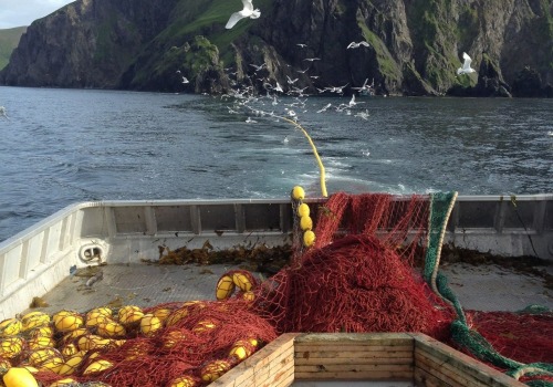 Exploring the Landscape of Commercial Fishing Boats in Alaska